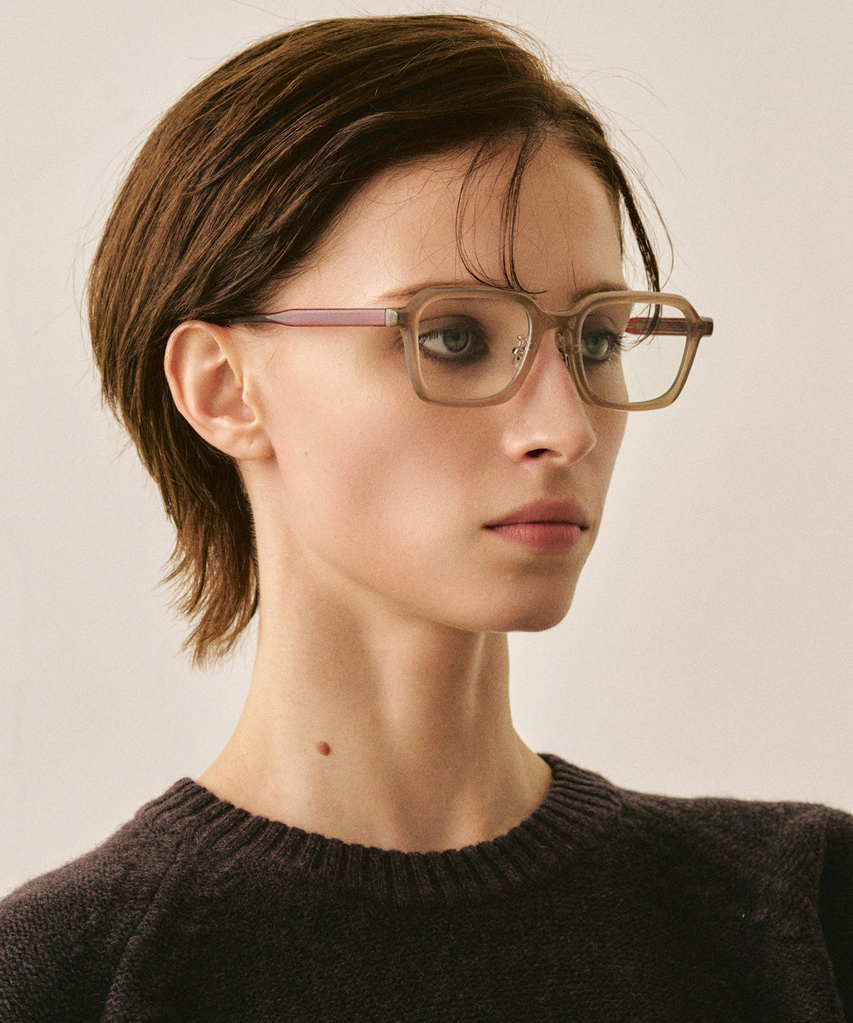 deux cent vingt-trois223(brown)
