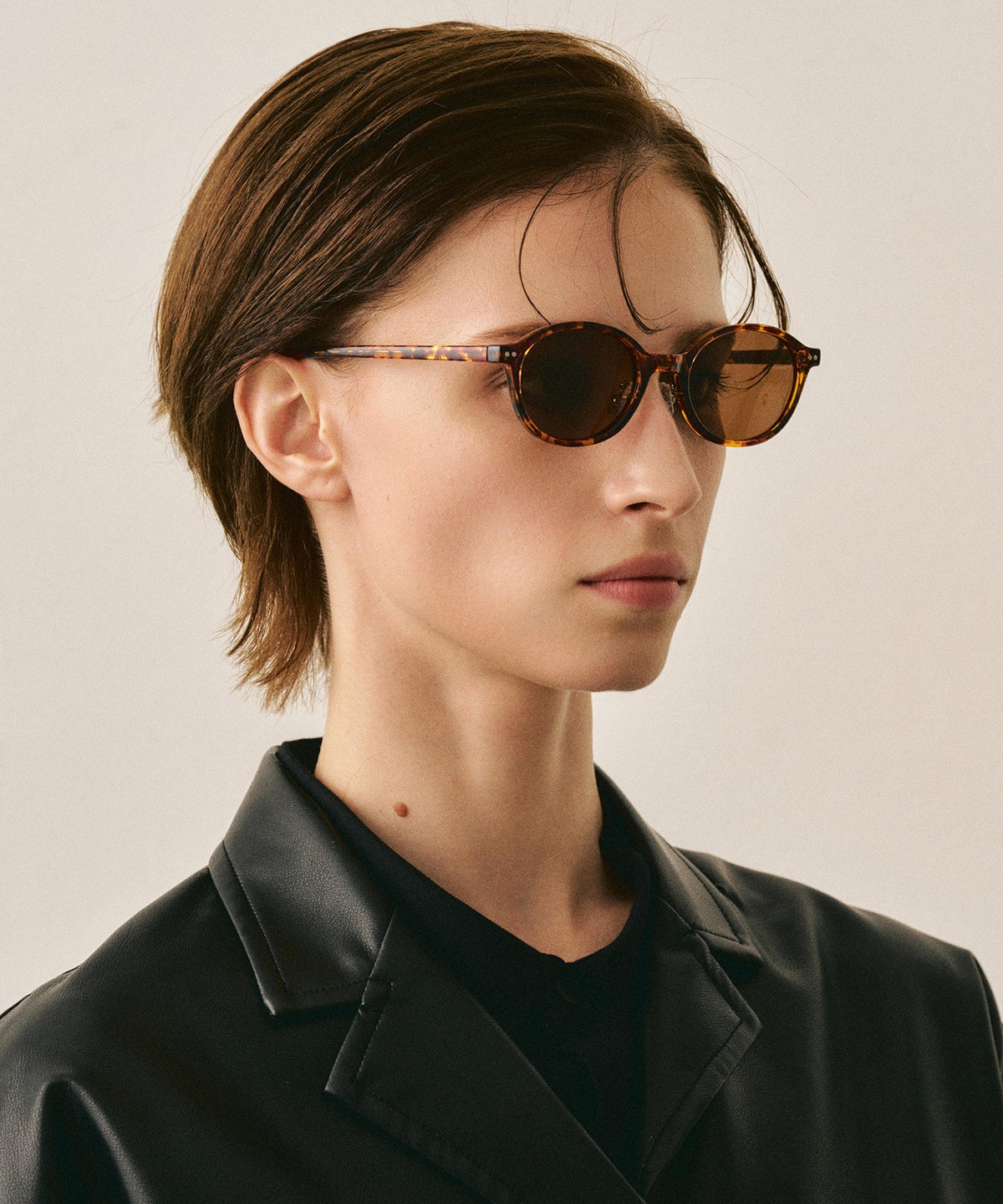 deux cent trente-six236(leopard)