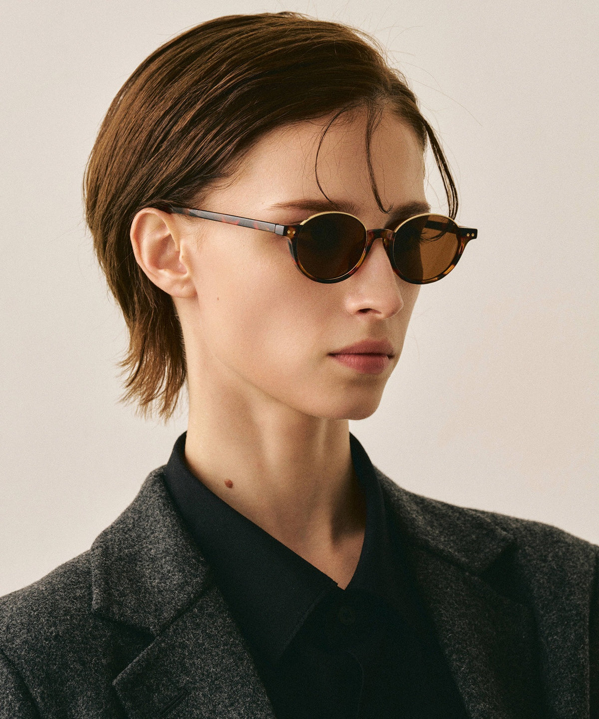 deux cent trente-neuf239(leopard)