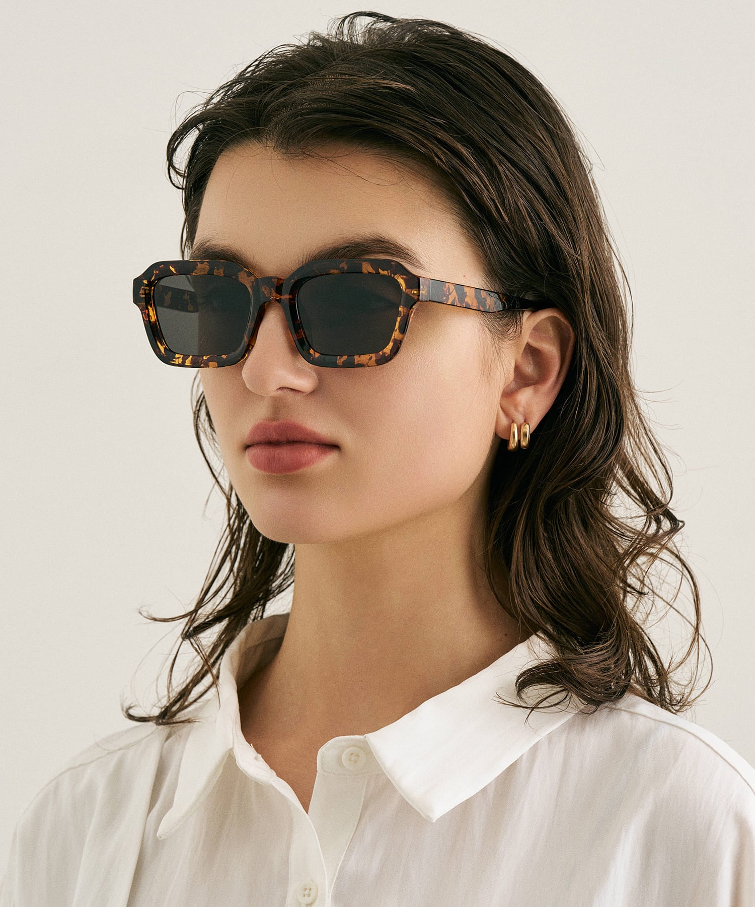 cent soixante-sept167(leopard)