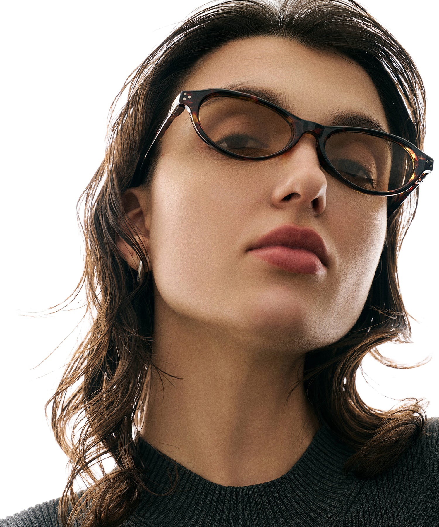 cent soixante-treize173(leopard)