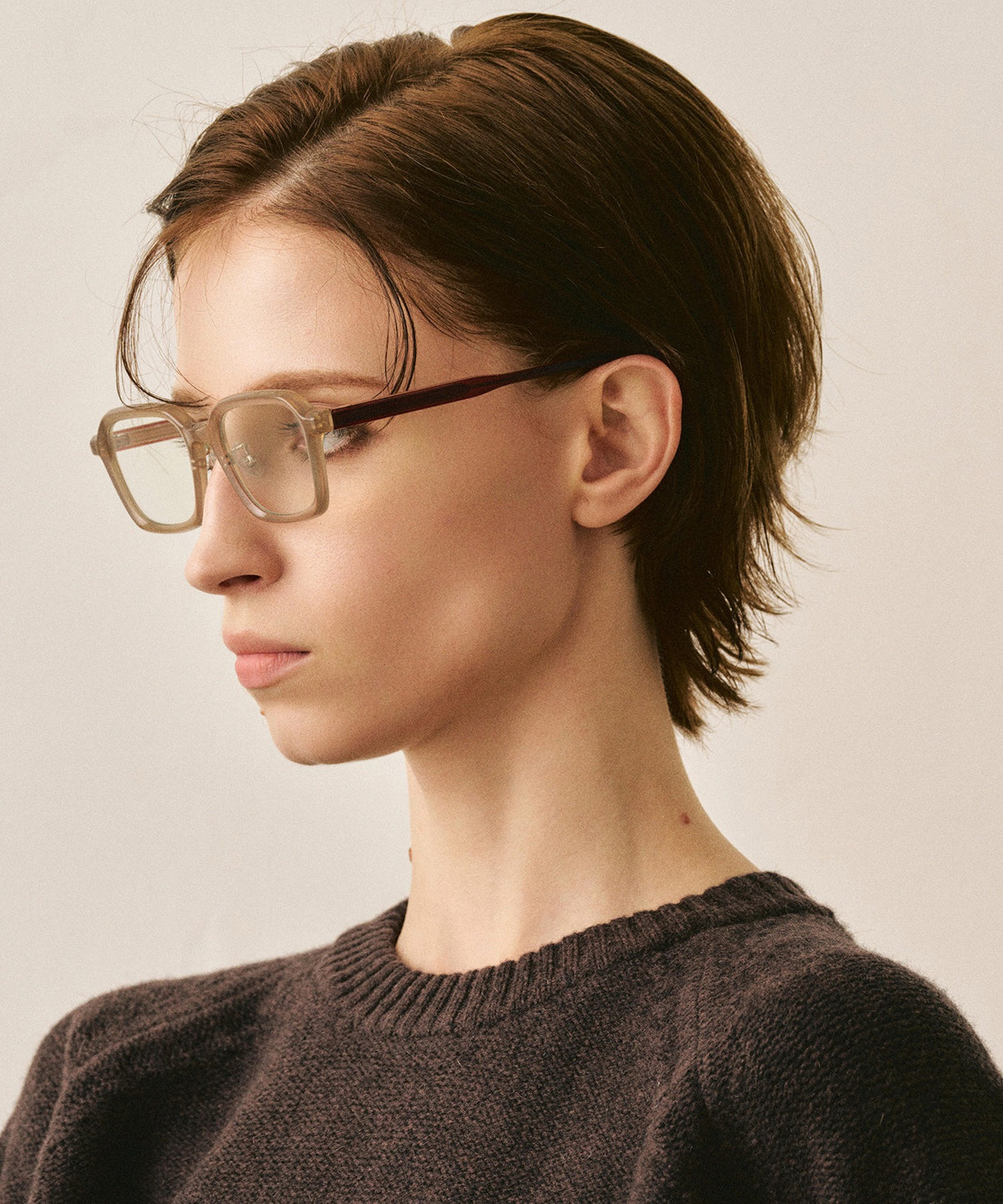 deux cent vingt-trois223(brown)