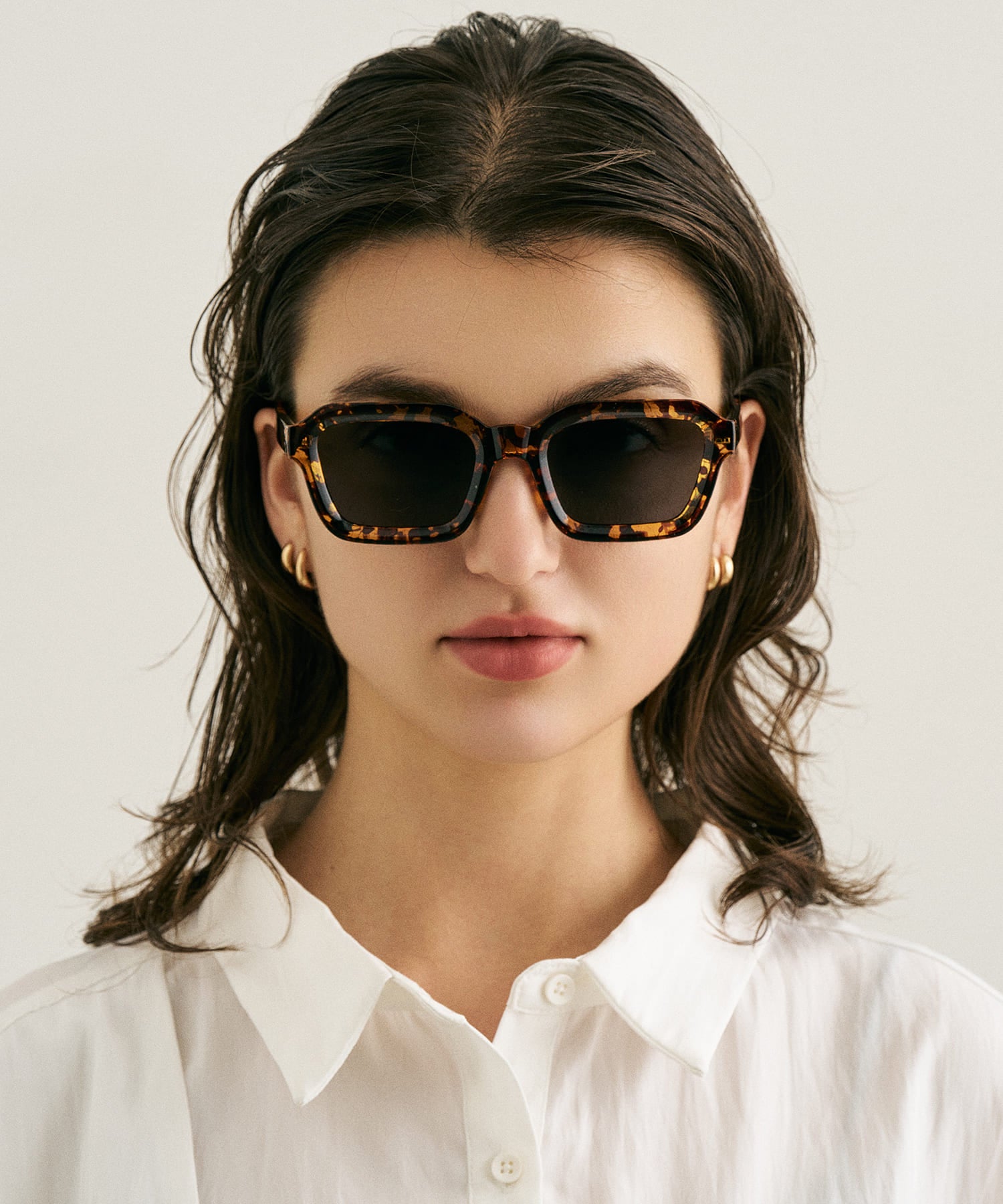 cent soixante-sept167(leopard)