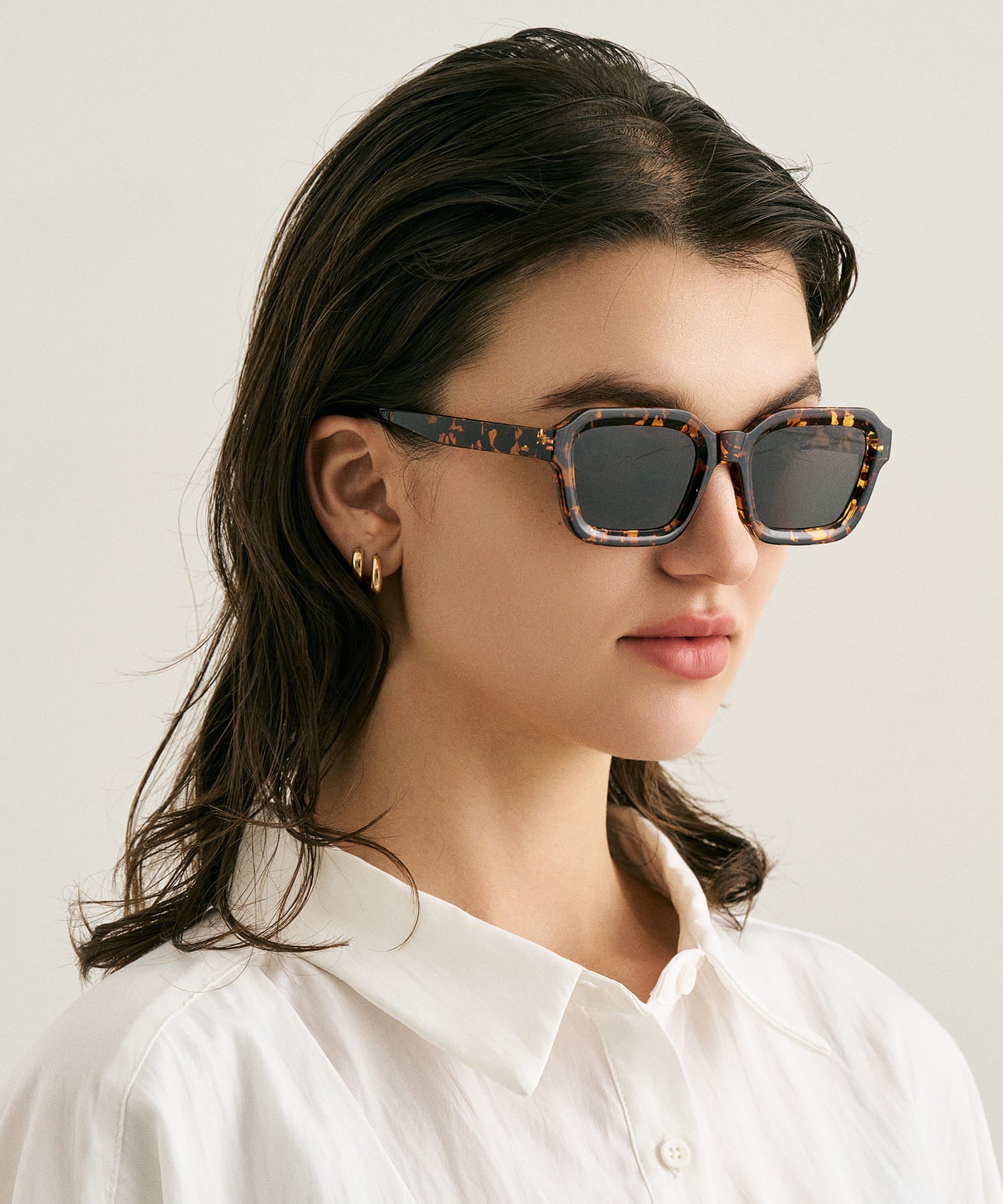 cent soixante-sept167(leopard)