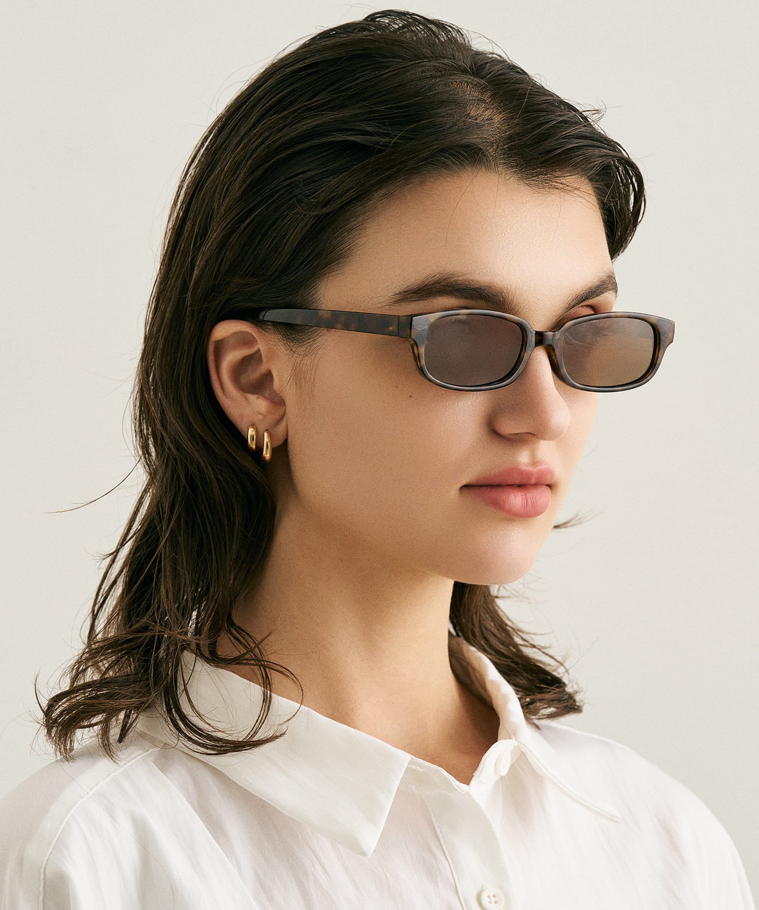 cent soixante-douze172(leopard)