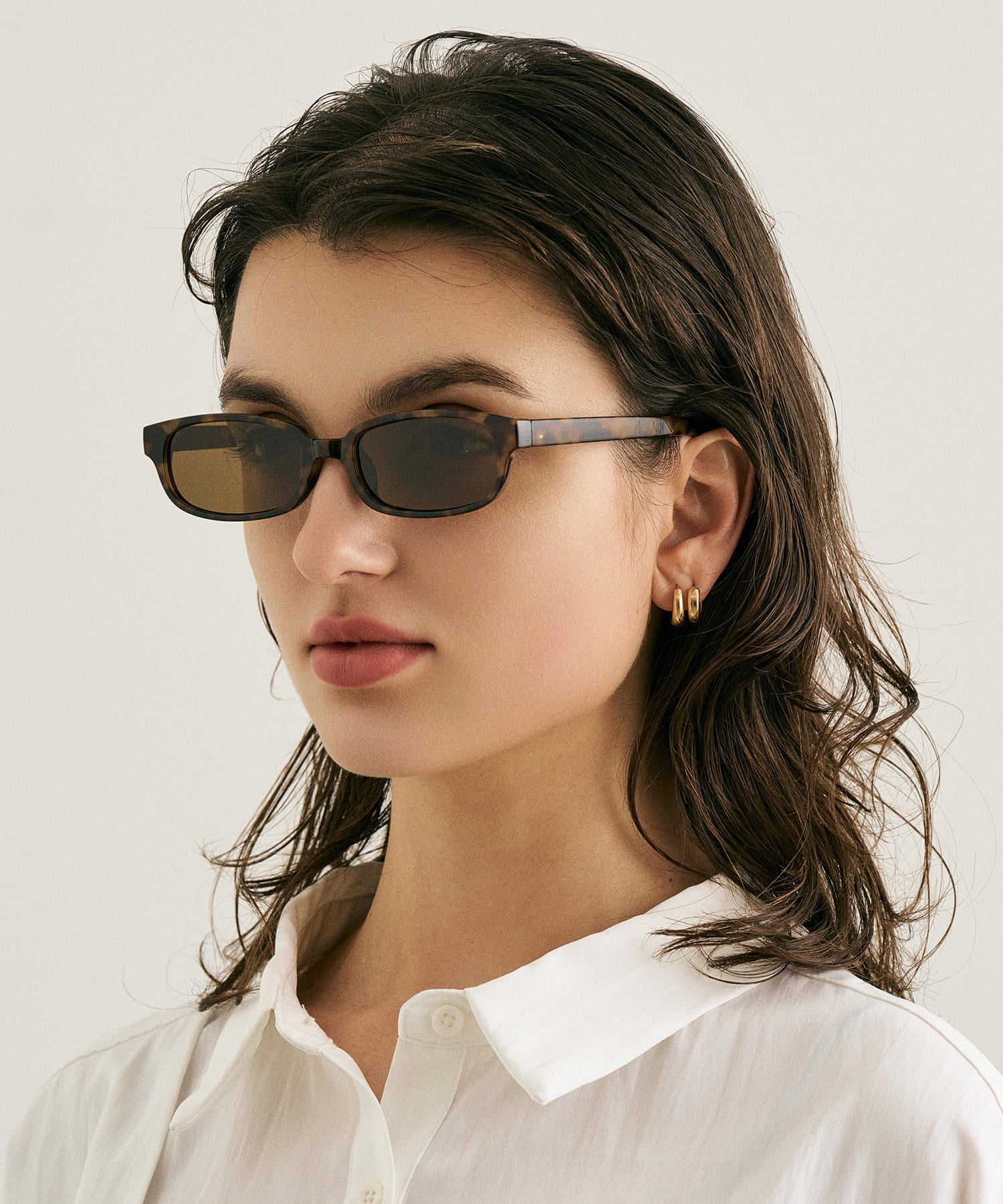 cent soixante-douze172(leopard)