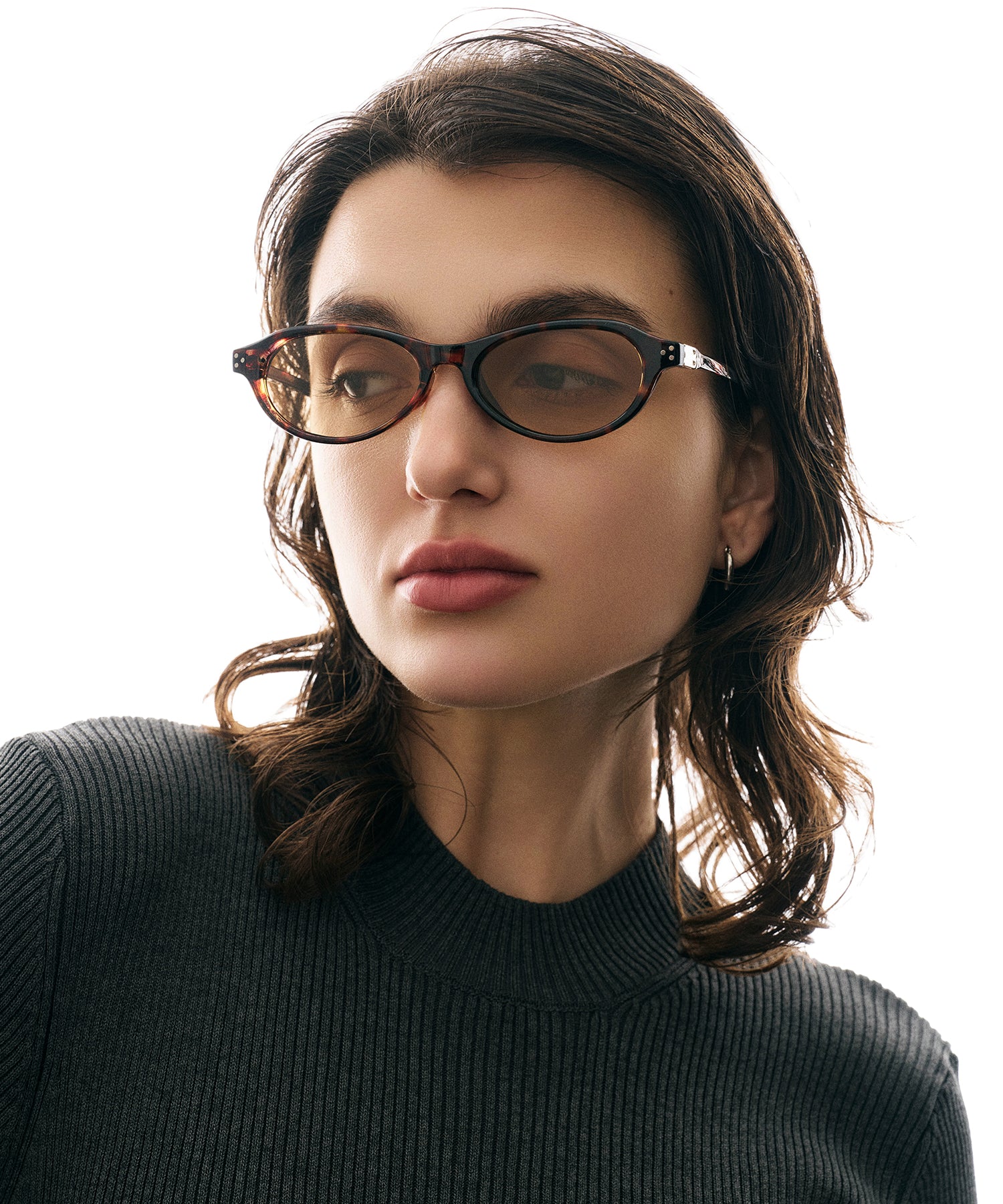 cent soixante-treize173(leopard)