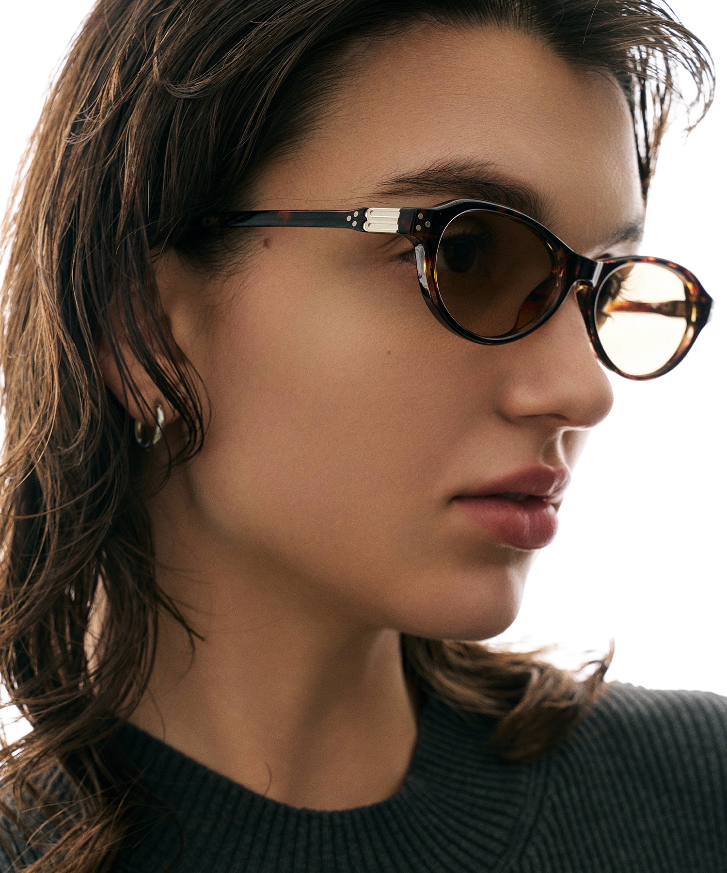 cent soixante-treize173(leopard)