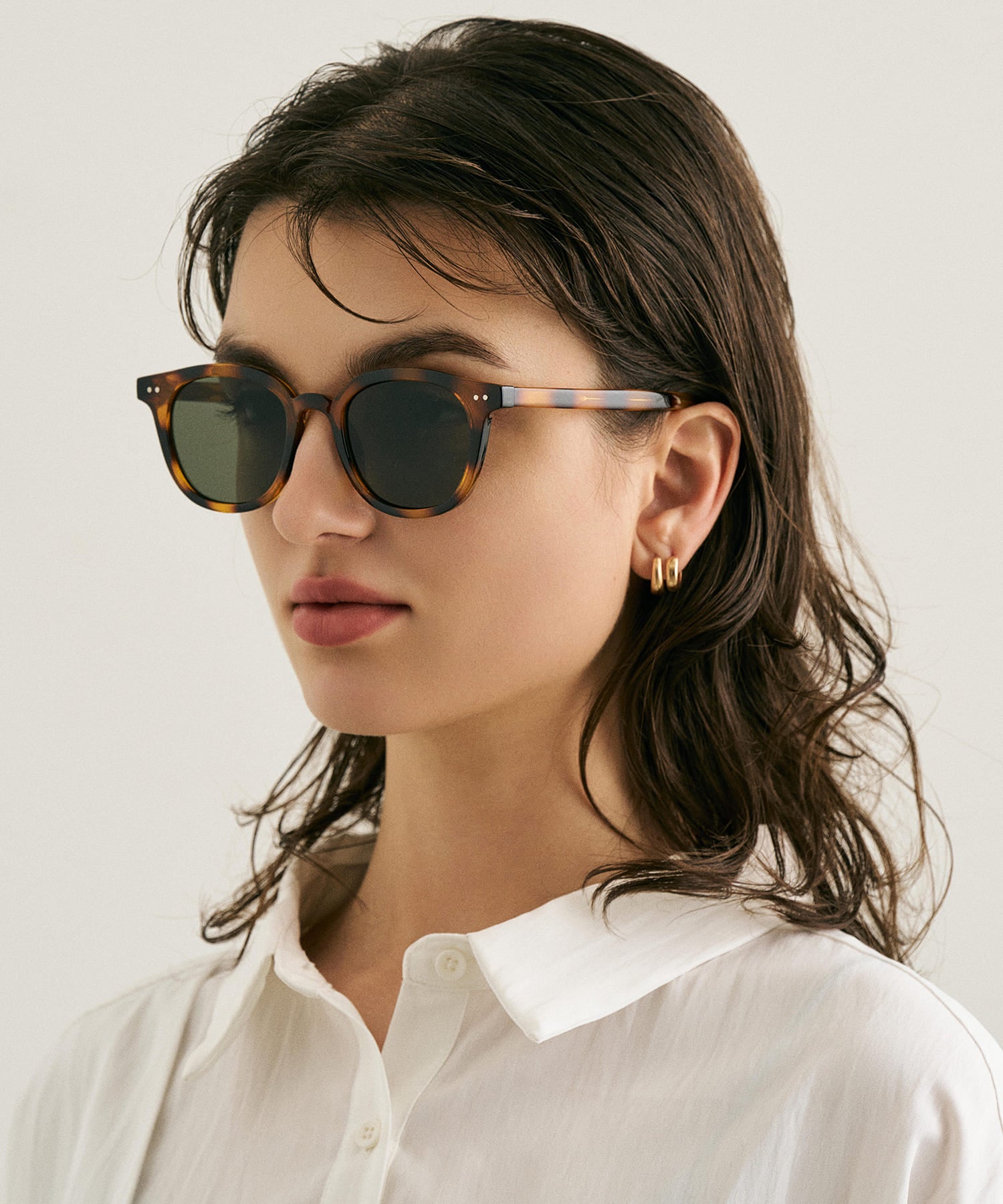 cent soixante-huit168(leopard)