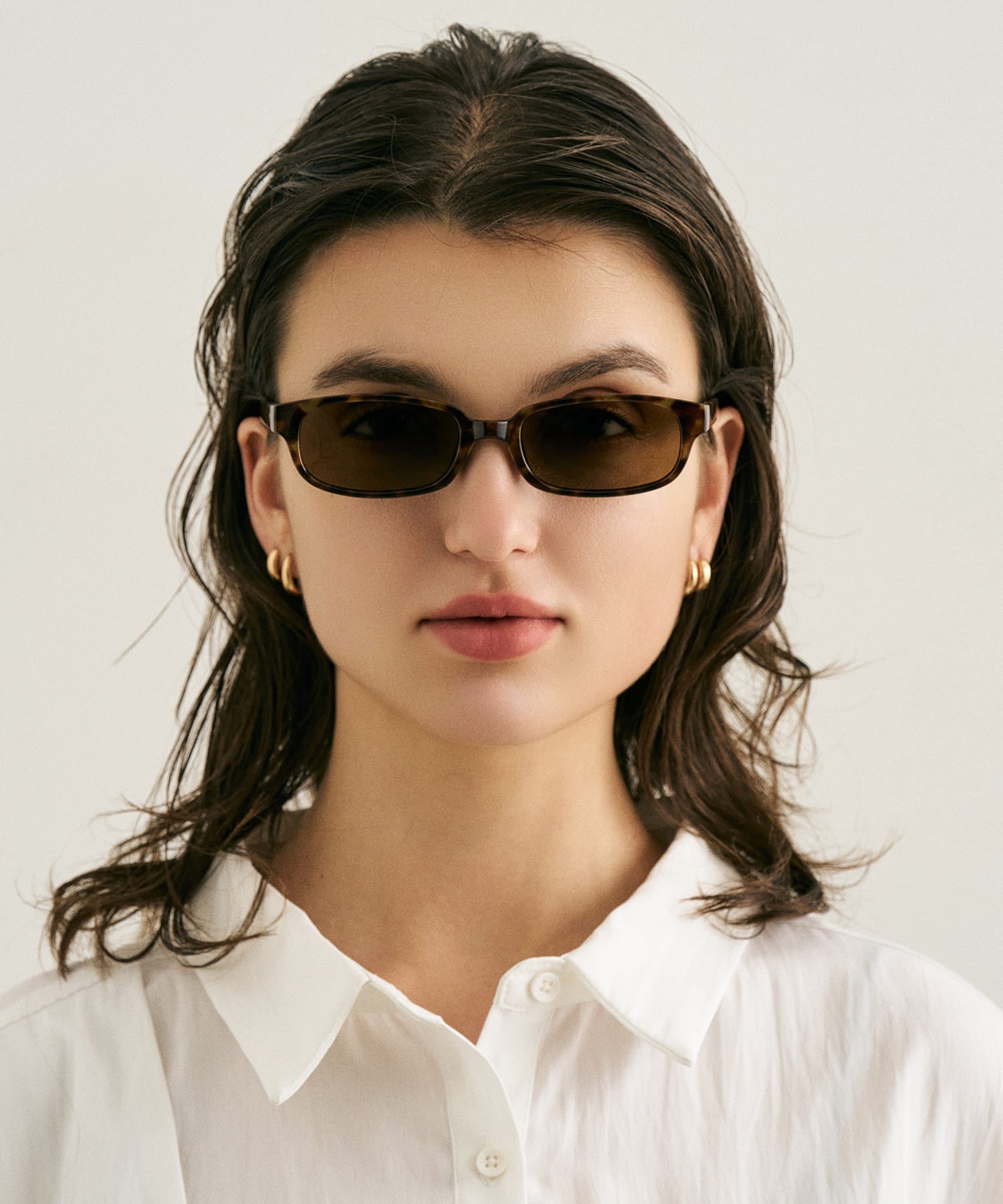 cent soixante-douze172(leopard)