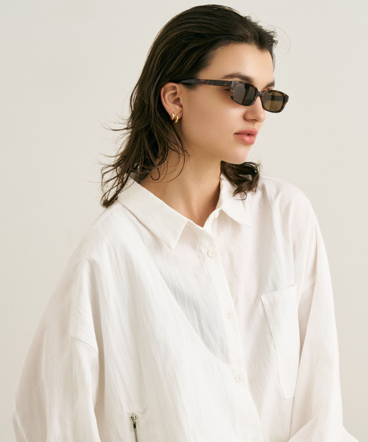 cent soixante-douze172(leopard)