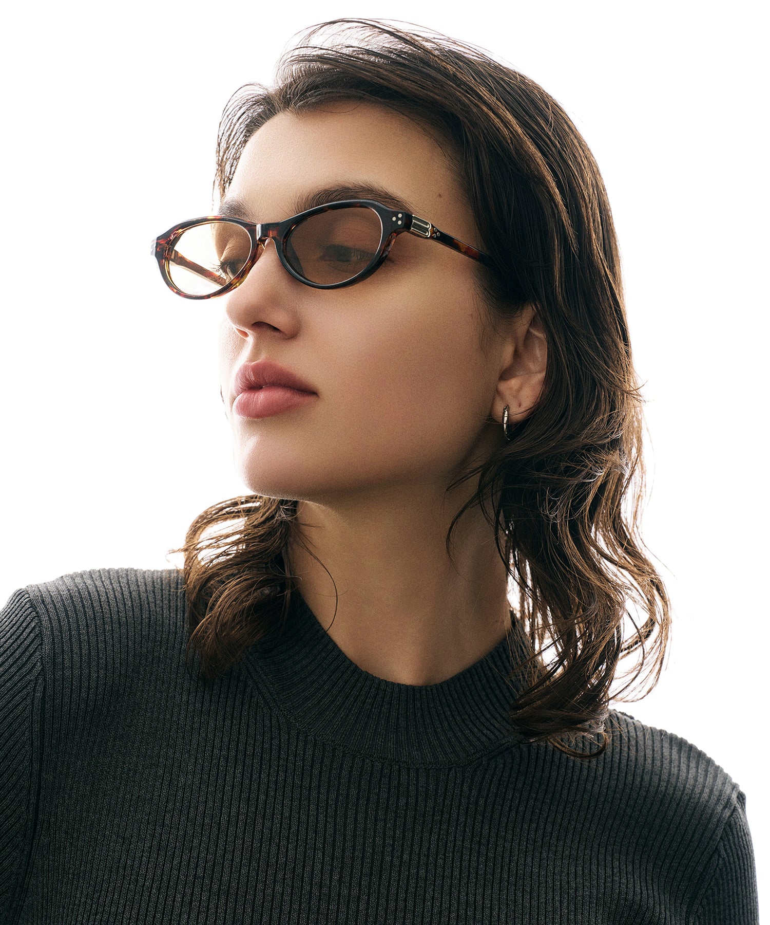 cent soixante-treize173(leopard)