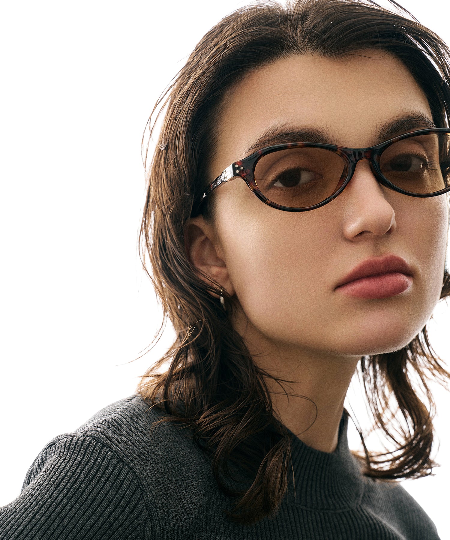 cent soixante-treize173(leopard)